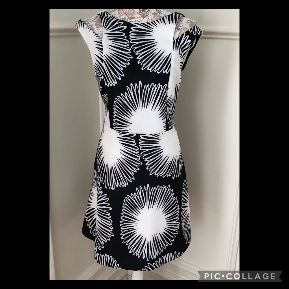 Kensie fit and flare dress M